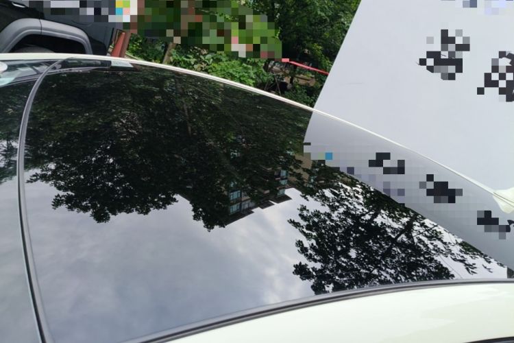 Used BYD Dolphin 2023 420 km Fashion Edition Roof