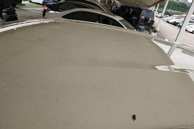 Used BYD Dolphin 2023 420 km Free Version Roof