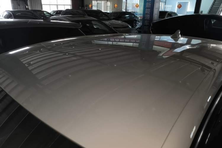 Used BYD Dolphin 2023 420 km Free Version Roof