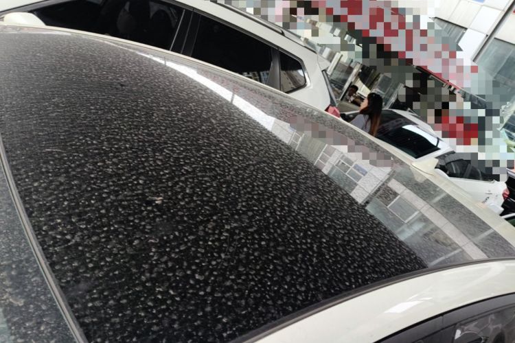 Used BYD Dolphin 2023 420 km Fashion Edition Roof