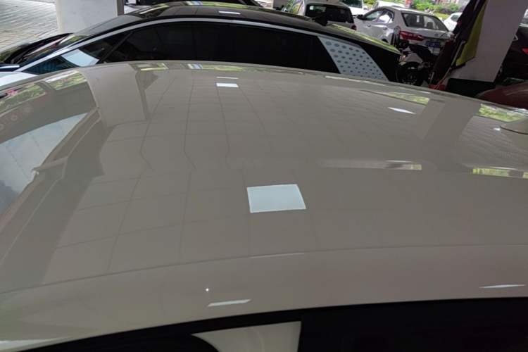 Used BYD Dolphin 2023 420 km Free Version Roof