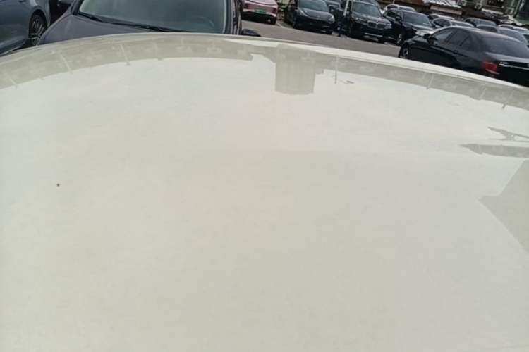 Used BYD Dolphin 2023 420 km Free Version Roof