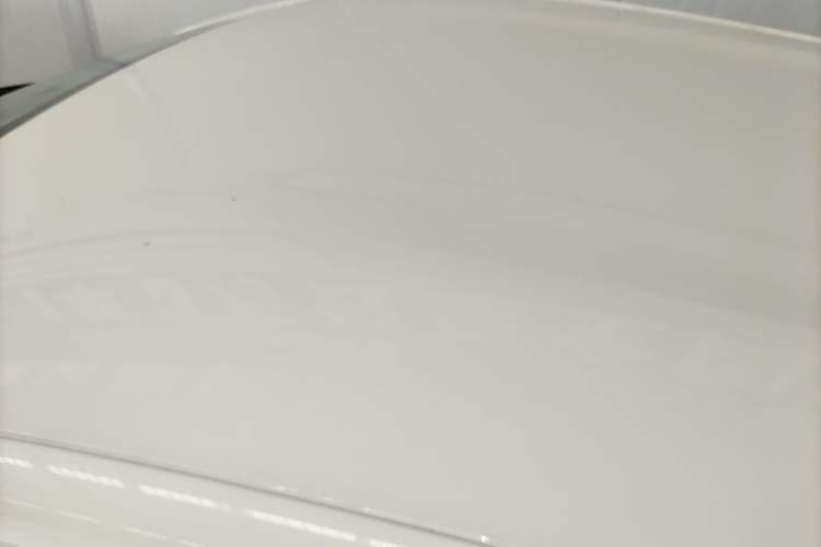 Used BYD Dolphin 2023 420 km Free Version Roof