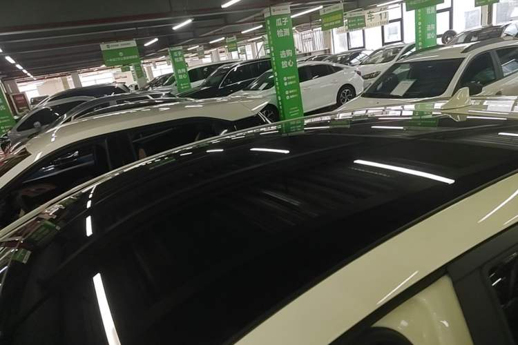 Used BYD Dolphin 2023 420 km Fashion Edition Roof