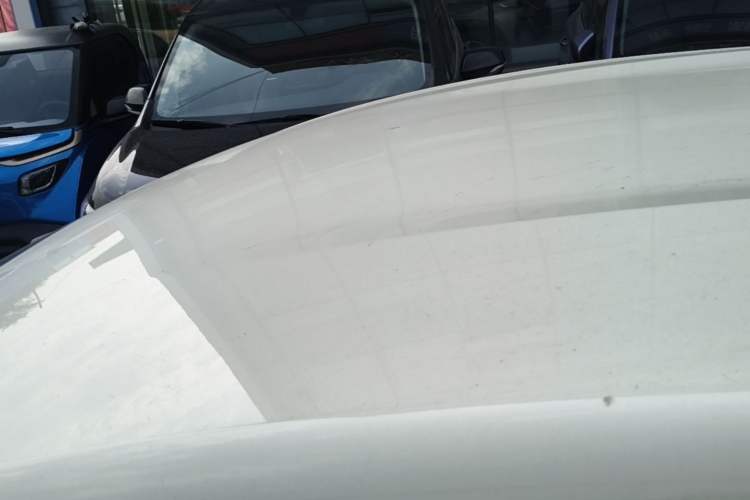 Used BYD Dolphin 2023 420 km Free Version Roof