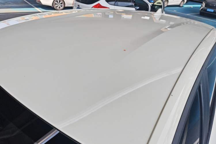 Used BYD Dolphin 2023 420 km Free Version Roof