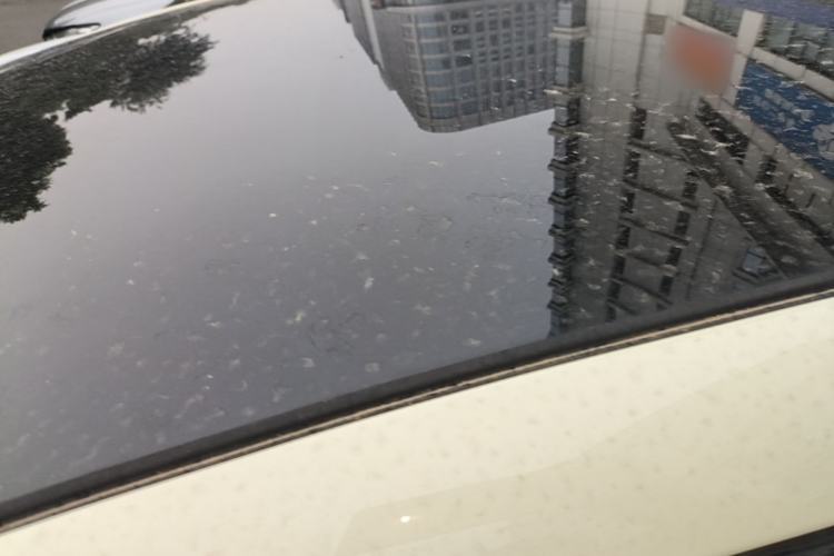 Used BYD Dolphin 2023 420 km Fashion Edition Roof