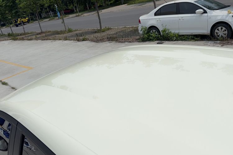 Used BYD Dolphin 2023 420 km Free Version Roof