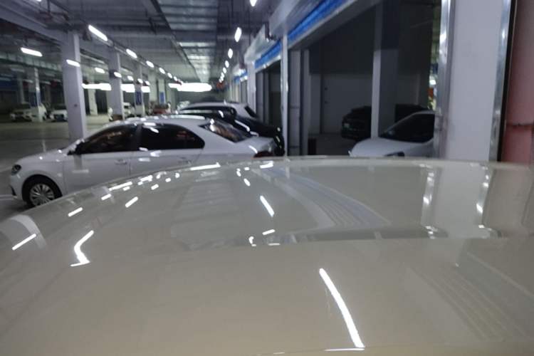 Used BYD Dolphin 2023 420 km Free Version Roof