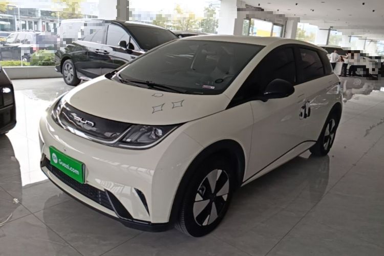 BYD Dolphin 2023 420 km Free Version