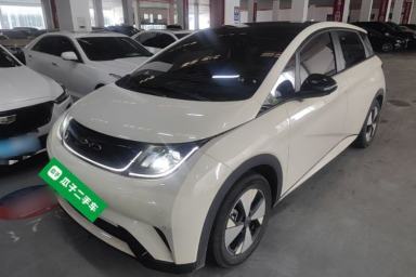Used BYD Dolphin 2023 420 km Fashion Edition