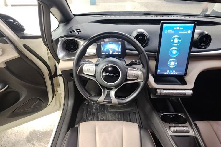 Used BYD Dolphin 2023 420 km Free Version Steering Wheel