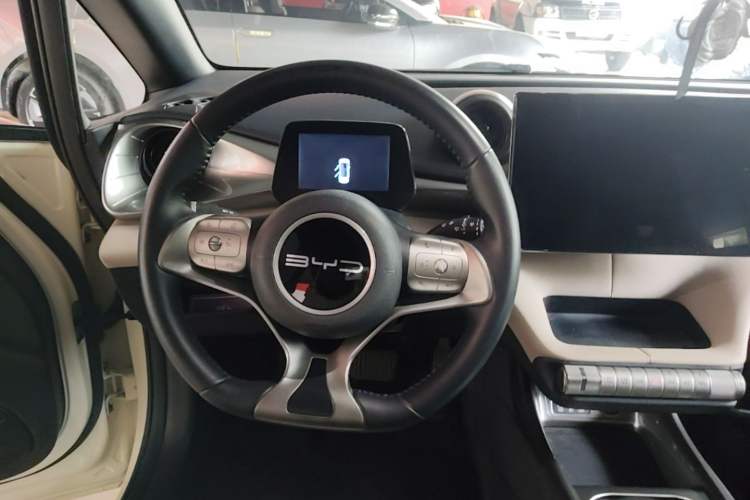 Used BYD Dolphin 2023 420 km Free Version Steering Wheel