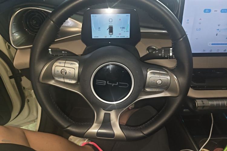 Used BYD Dolphin 2023 420 km Free Version Steering Wheel