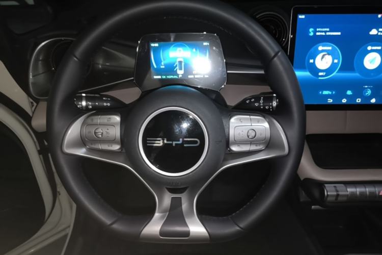 Used BYD Dolphin 2023 420 km Free Version Steering Wheel