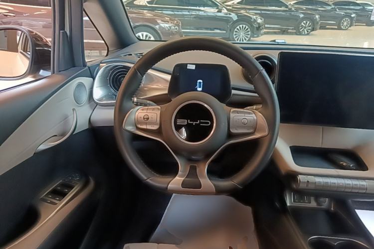 Used BYD Dolphin 2023 420 km Free Version Steering Wheel