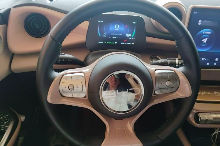Used BYD Dolphin 2023 420 km Fashion Edition Steering Wheel