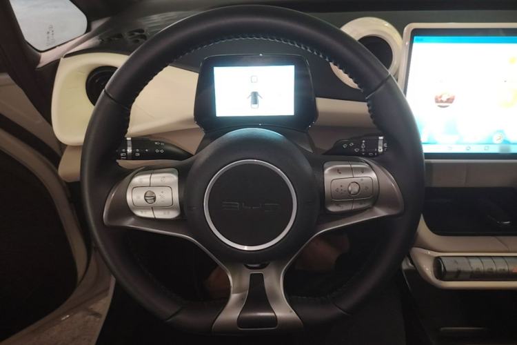 Used BYD Dolphin 2023 420 km Free Version Steering Wheel