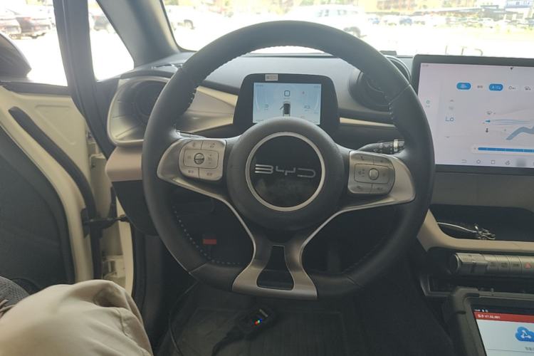 Used BYD Dolphin 2023 420 km Free Version Steering Wheel