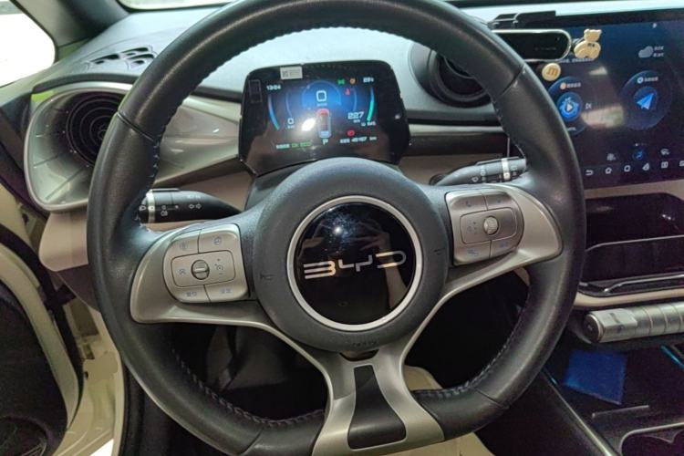 Used BYD Dolphin 2023 420 km Free Version Steering Wheel