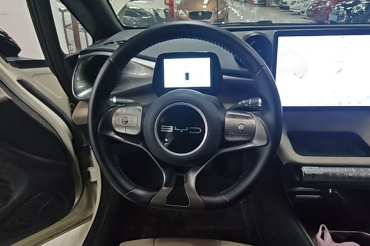 Used BYD Dolphin 2023 420 km Free Version Steering Wheel