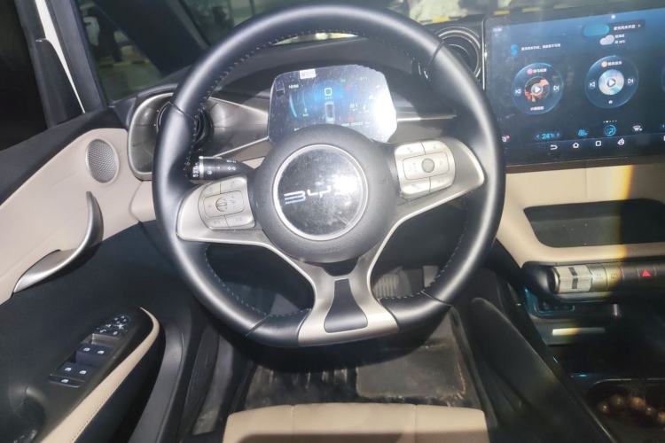 Used BYD Dolphin 2023 420 km Free Version Steering Wheel