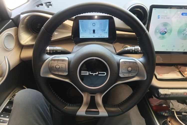 Used BYD Dolphin 2023 420 km Free Version Steering Wheel