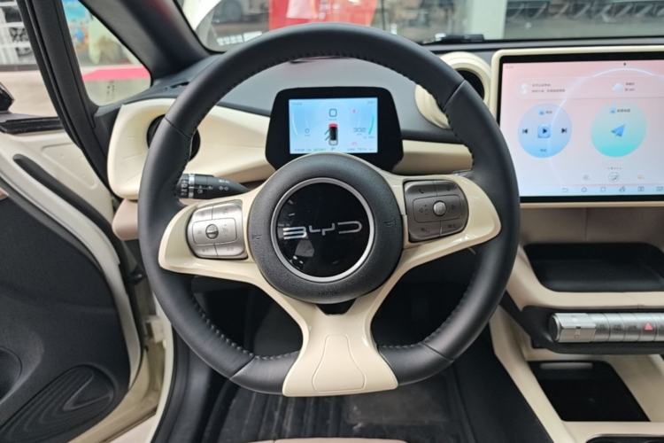 Used BYD Dolphin 2023 420 km Free Version Steering Wheel