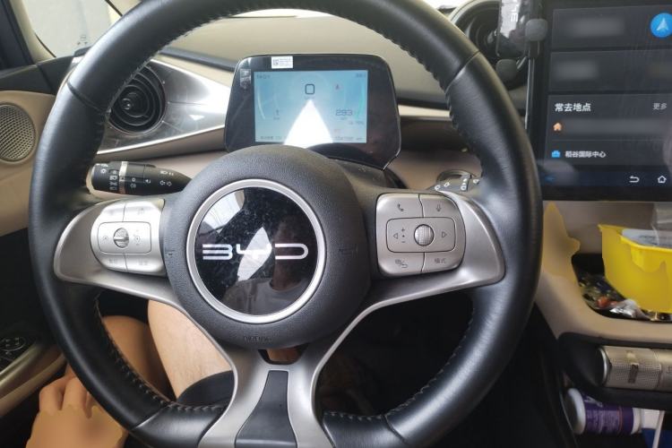 Used BYD Dolphin 2023 420 km Free Version Steering Wheel
