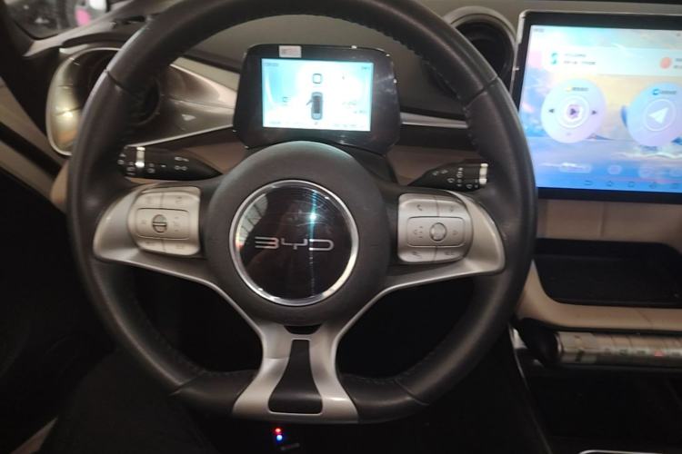 Used BYD Dolphin 2023 420 km Free Version Steering Wheel