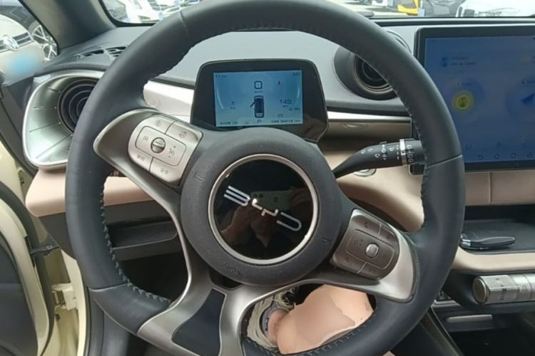 Used BYD Dolphin 2023 420 km Free Version Steering Wheel