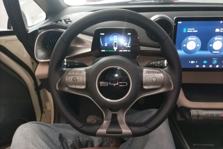 Used BYD Dolphin 2023 420 km Free Version Steering Wheel