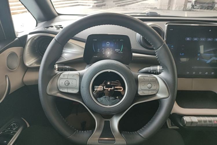 Used BYD Dolphin 2023 420 km Free Version Steering Wheel