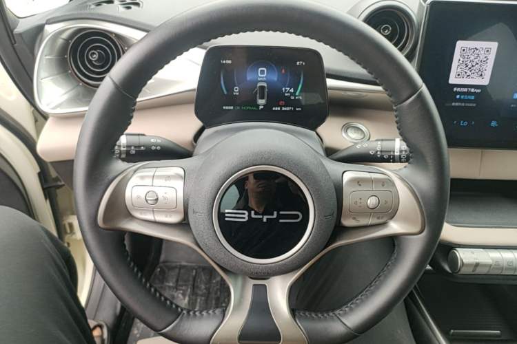 Used BYD Dolphin 2023 420 km Free Version Steering Wheel