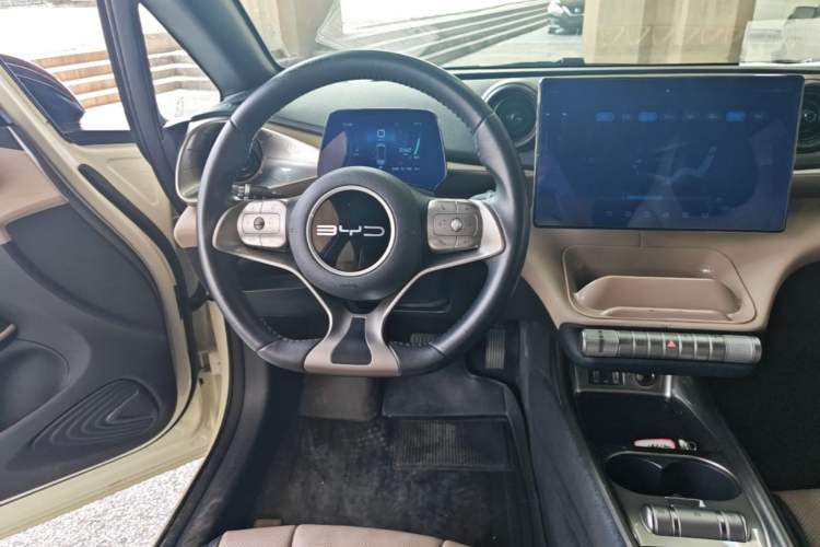 Used BYD Dolphin 2023 420 km Free Version Steering Wheel