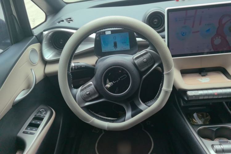 Used BYD Dolphin 2023 420 km Free Version Steering Wheel