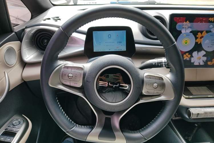 Used BYD Dolphin 2023 420 km Fashion Edition Steering Wheel