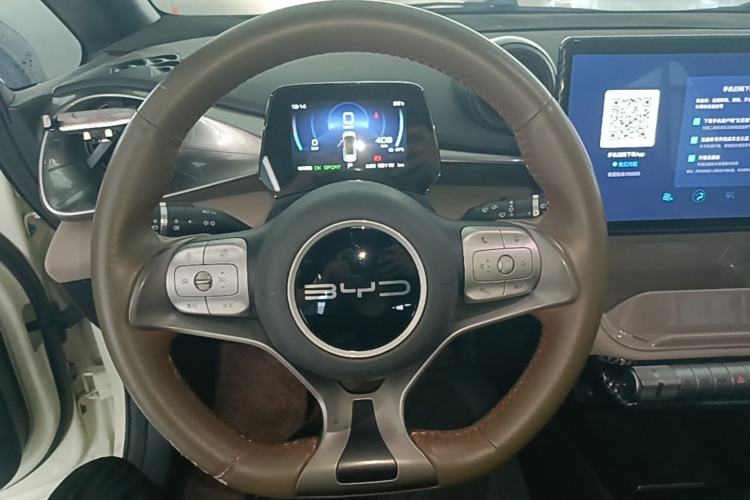 Used BYD Dolphin 2023 420 km Free Version Steering Wheel