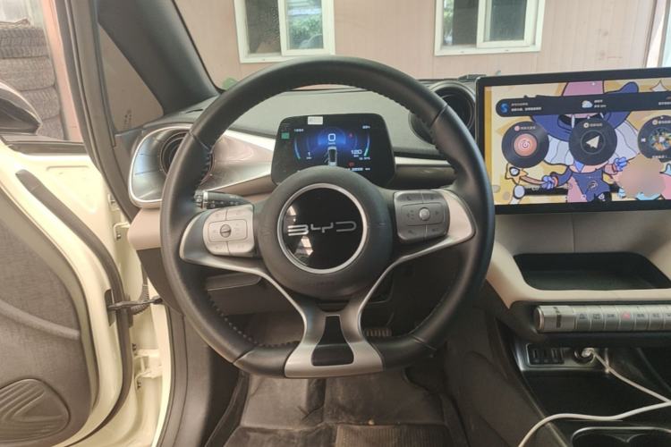 Used BYD Dolphin 2023 420 km Free Version Steering Wheel