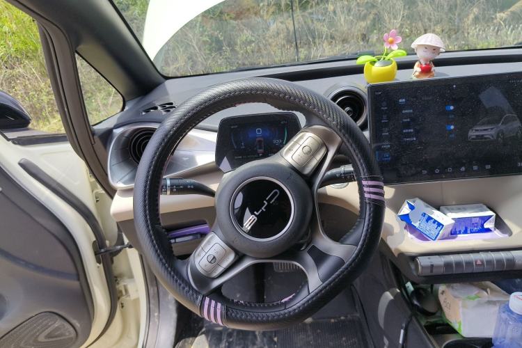 Used BYD Dolphin 2023 420 km Free Version Steering Wheel