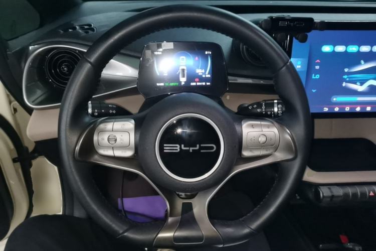 Used BYD Dolphin 2023 420 km Free Version Steering Wheel