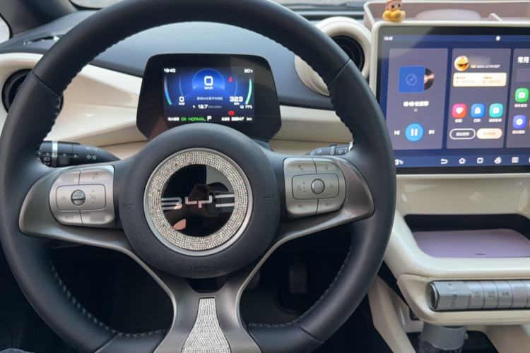 Used BYD Dolphin 2023 420 km Free Version Steering Wheel