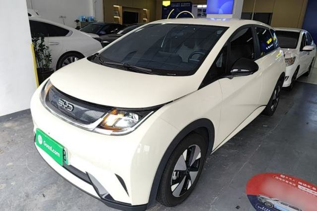 Used BYD Dolphin 2023 420 km Free Version