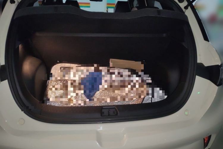 Used BYD Dolphin 2023 420 km Free Version Trunk