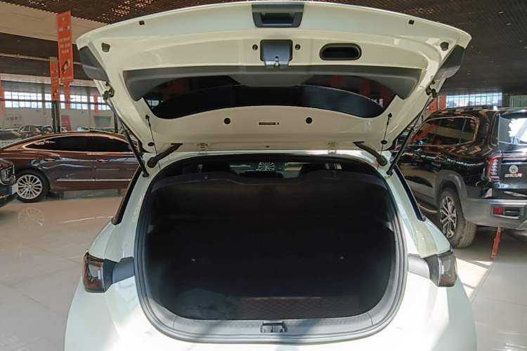 Used BYD Dolphin 2023 420 km Free Version Trunk
