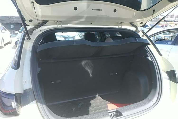 Used BYD Dolphin 2023 420 km Free Version Trunk