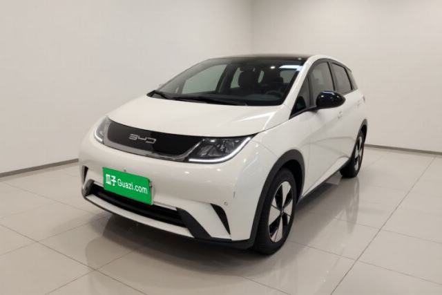 BYD Dolphin 2023 420 km Fashion Edition usado