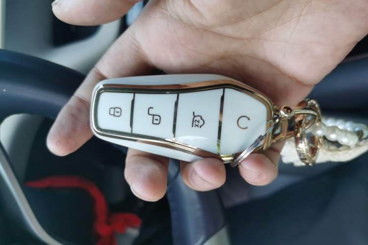 Used BYD Dolphin 2023 420 km Fashion Edition Vehicle Key
