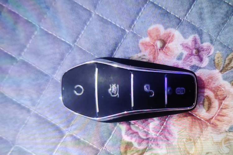 Used BYD Dolphin 2023 420 km Fashion Edition Vehicle Key