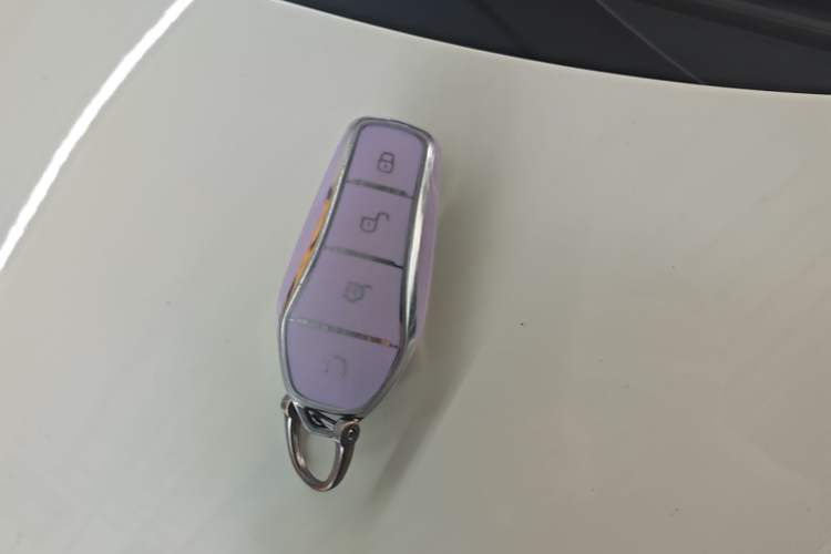 Used BYD Dolphin 2023 420 km Fashion Edition Vehicle Key